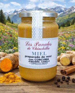 Preparado de miel con curcuma jengibre canela y pimienta negra